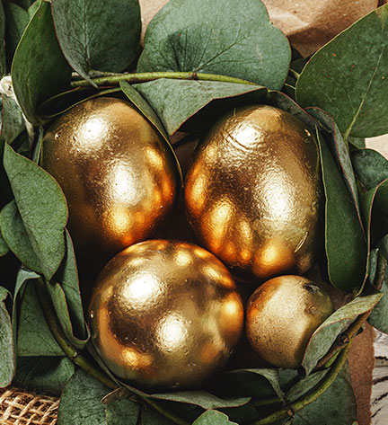  Easter Promotion